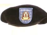 349TH GENERAL HOSPITALベレー帽